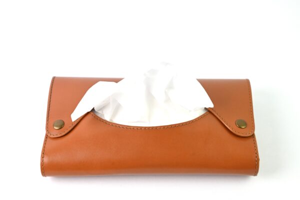 Tissue Envelope